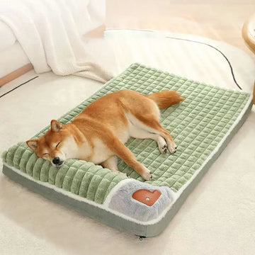 Luxury Sofa Washable Pet Bed